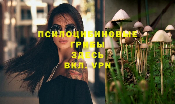 индика Балабаново