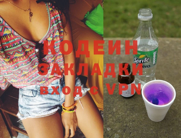 индика Балабаново